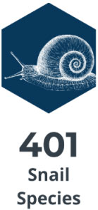 snails